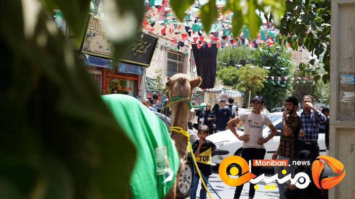 گزارش تصویری| روز عاشورا و شام غریبان