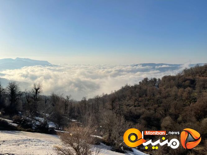 طبیعت زیبای جنگل اولنگ در آغاز بهار