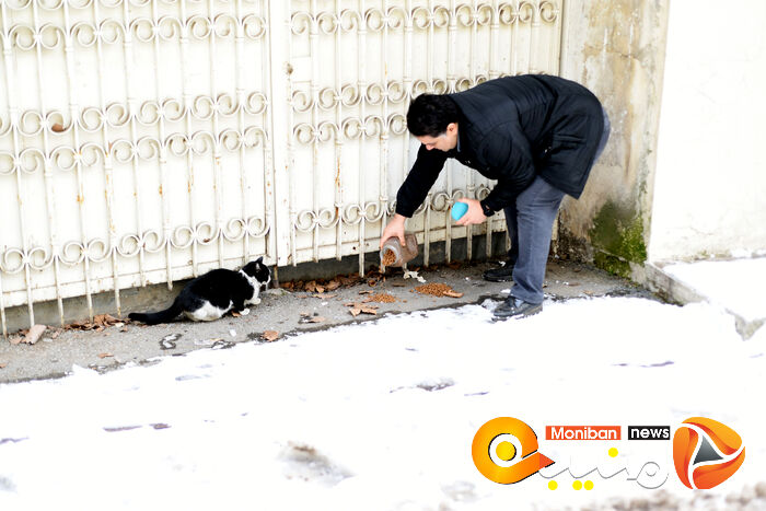 گزارش تصویری| تهران در برف