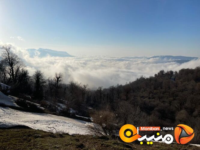 طبیعت زیبای جنگل اولنگ در آغاز بهار