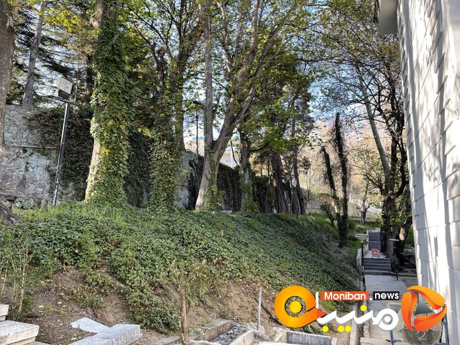 مجموعه سعد آباد در ایام نوروز