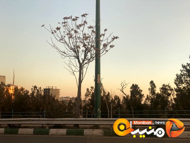 جمعه زیبای تهران