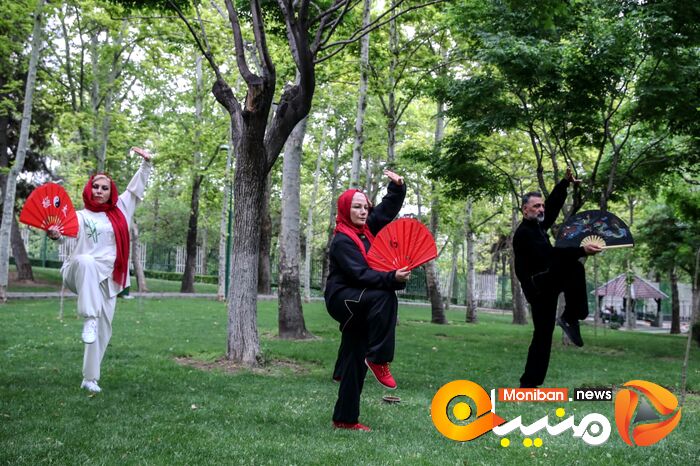 روز جهانی تای چی