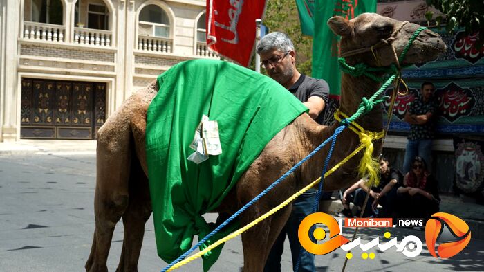 گزارش تصویری| روز عاشورا و شام غریبان