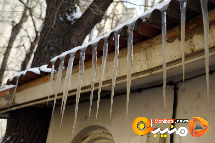 گزارش تصویری| تهران در برف