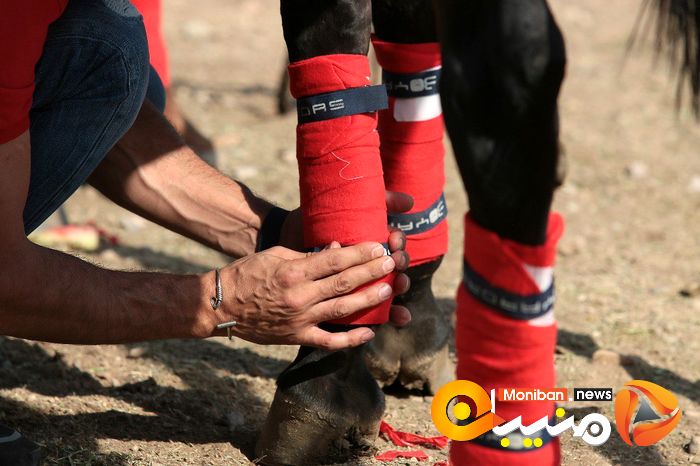 هفته پایانی مسابقات چوگان جام شهید سلیمانی