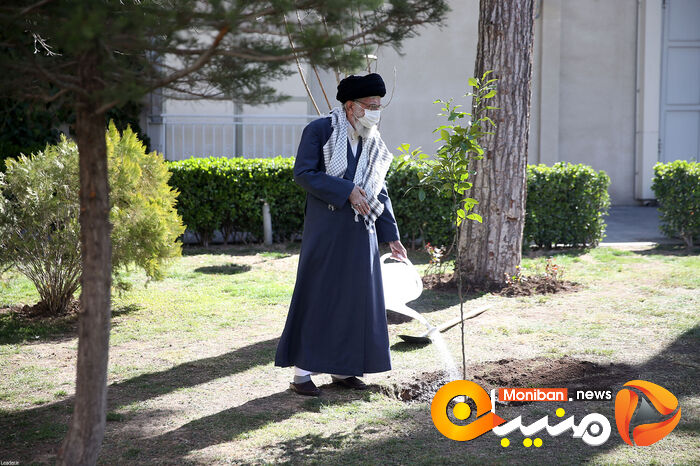کاشت نهال در هفته منابع طبیعی توسط رهبر معظم انقلاب