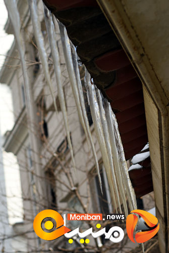 گزارش تصویری| تهران در برف