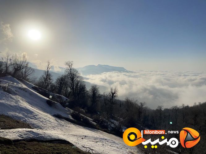 طبیعت زیبای جنگل اولنگ در آغاز بهار