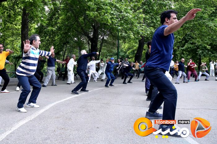 روز جهانی تای چی