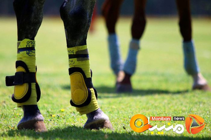 جشن قهرمانی تیم دختران زنده رود در رقابت های چوگان