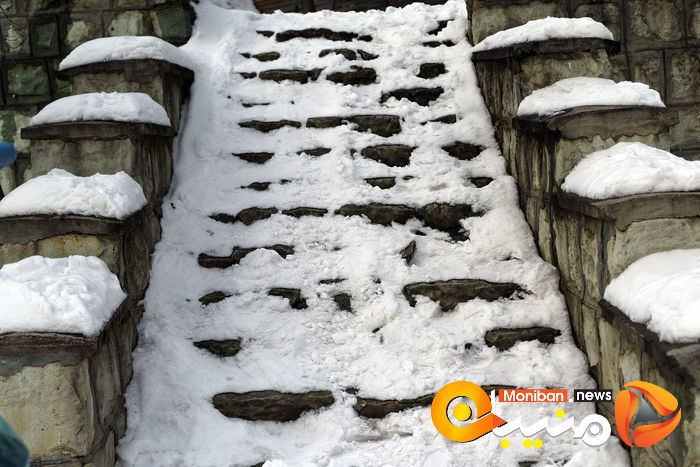 گزارش تصویری| تهران در برف