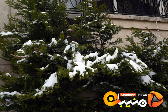 گزارش تصویری| تهران در برف