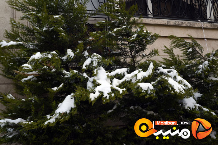 گزارش تصویری| تهران در برف