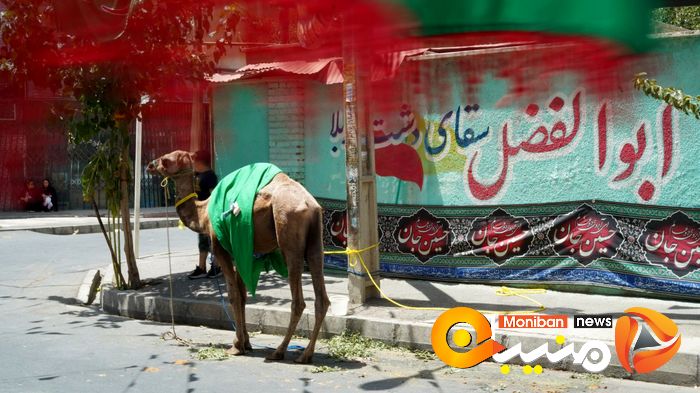 گزارش تصویری| روز عاشورا و شام غریبان